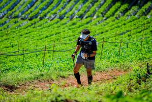 BIB: 
                            <button type="button" onclick="openModal(19163258)" class="btn btn-primary btn-sm float-right btn-popup" data-toggle="modal" data-target=".modal-high-quality">
                        <i class="fas fa-shopping-cart"></i> Add to Cart
                    </button>
                                            <button type="button" onclick="isThisMe(19163258, true)" class="btn btn-success btn-sm float-right btn-popup btn-isme hidden" data-toggle="tooltip" data-placement="bottom" title="นี่คือรูปของคุณใช่ไหม คลิกที่นี่เพื่อเอาเข้าอัลบั้ม">
                        <i class="fas fa-plus"></i> Add to album
                    </button>
                    <button type="button" onclick="isThisMe(19163258, false)" class="btn btn-warning btn-sm float-right btn-popup btn-isnotme hidden">
                        <i class="fas fa-ban"></i> Remove from album
                    </button>